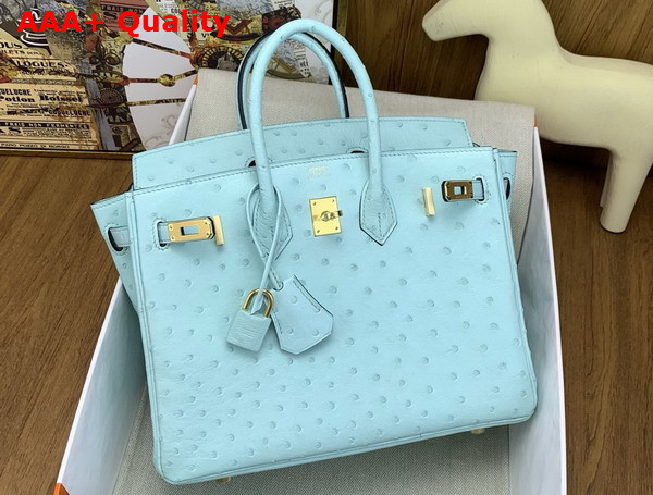 Hermes Birkin 25 in Mint Green Ostrich Leather Replica