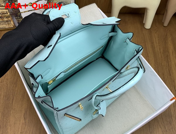 Hermes Birkin 25 in Mint Green Ostrich Leather Replica
