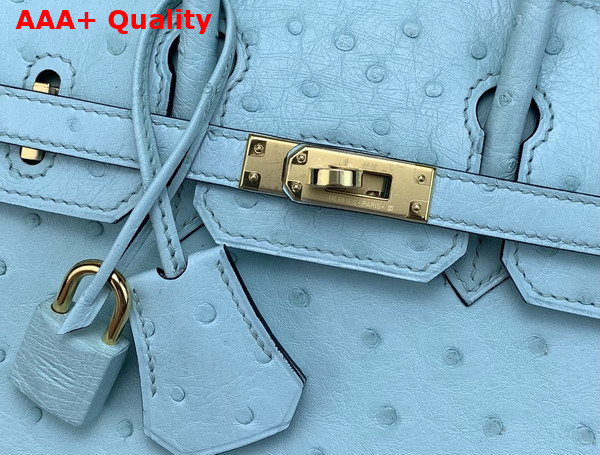 Hermes Birkin 25 in Mint Green Ostrich Leather Replica
