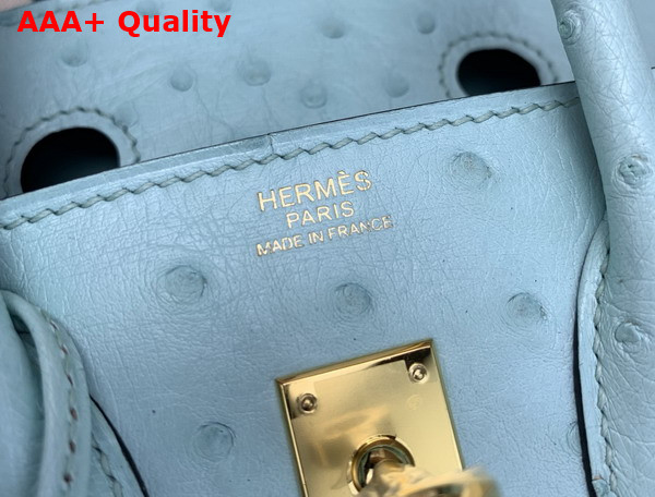 Hermes Birkin 25 in Mint Green Ostrich Leather Replica