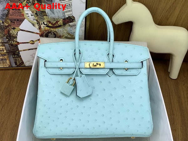 Hermes Birkin 25 in Mint Green Ostrich Leather Replica