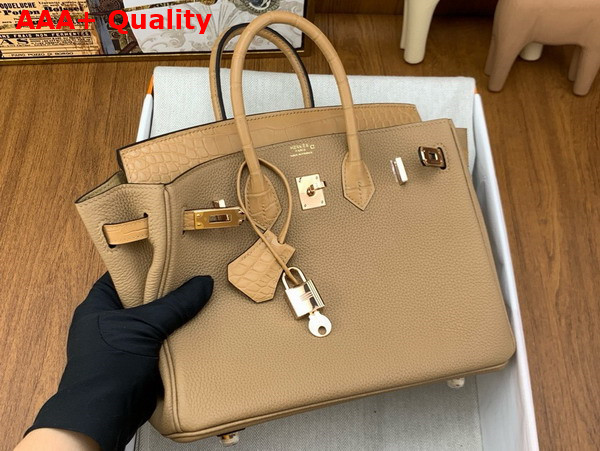 Hermes Birkin 25 in Oat Milk Togo Calfskin and Alligator Leather Replica
