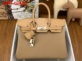 Hermes Birkin 25 in Oat Milk Togo Calfskin and Alligator Leather Replica