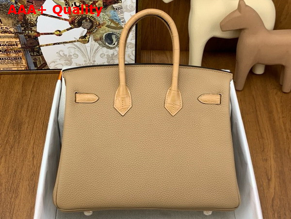 Hermes Birkin 25 in Oat Milk Togo Calfskin and Alligator Leather Replica