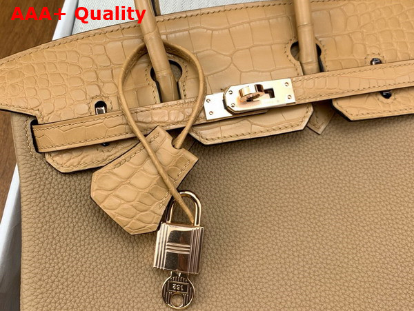 Hermes Birkin 25 in Oat Milk Togo Calfskin and Alligator Leather Replica