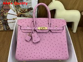 Hermes Birkin 25 in Powder Pink Ostrich Leather Replica