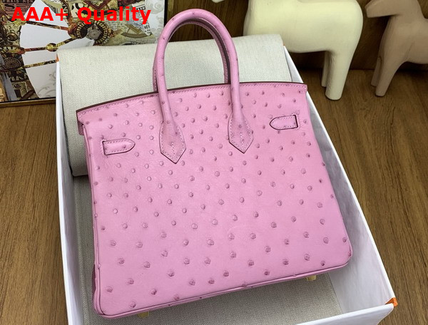 Hermes Birkin 25 in Powder Pink Ostrich Leather Replica