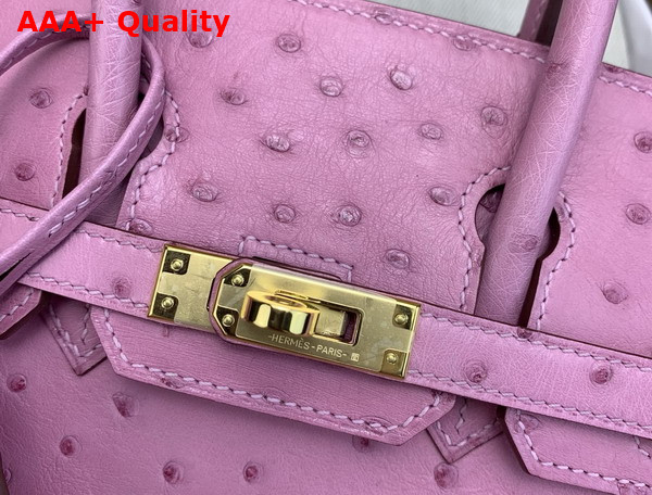 Hermes Birkin 25 in Powder Pink Ostrich Leather Replica