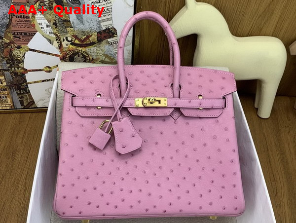 Hermes Birkin 25 in Powder Pink Ostrich Leather Replica