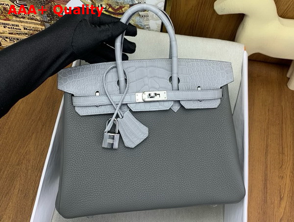 Hermes Birkin 25 in Storm Togo Leather and Light Grey Alligator Leather Replica