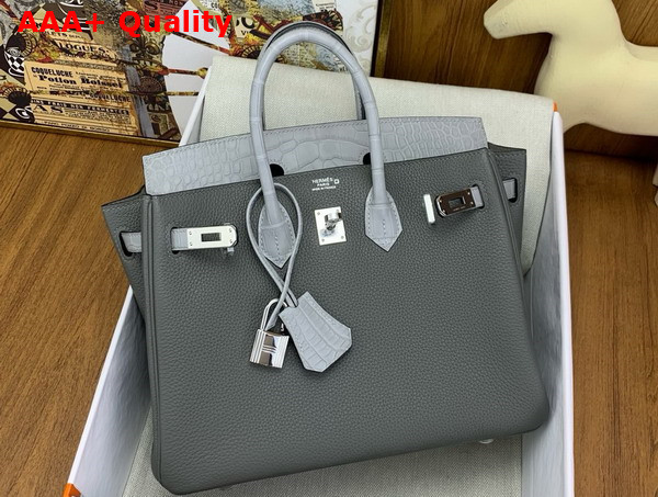 Hermes Birkin 25 in Storm Togo Leather and Light Grey Alligator Leather Replica
