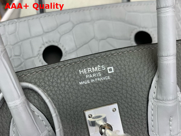 Hermes Birkin 25 in Storm Togo Leather and Light Grey Alligator Leather Replica