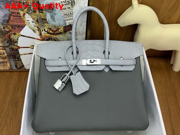 Hermes Birkin 25 in Storm Togo Leather and Light Grey Alligator Leather Replica