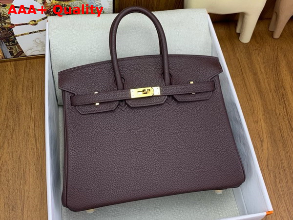 Hermes Birkin 25 in Wine Togo Leather Replica