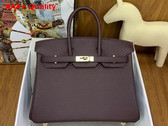 Hermes Birkin 25 in Wine Togo Leather Replica