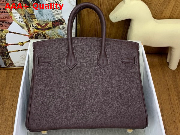 Hermes Birkin 25 in Wine Togo Leather Replica