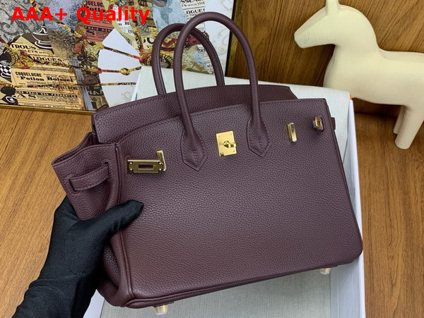 Hermes Birkin 25 in Wine Togo Leather Replica