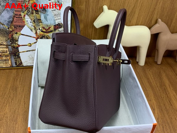 Hermes Birkin 25 in Wine Togo Leather Replica