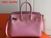 Hermes Birkin 25 with Shoulder Strap Pink Togo Leather Replica