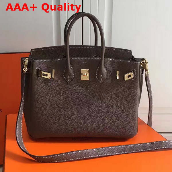 Hermes Birkin 25 with Shoulder Strap Taupe Togo Leather Replica