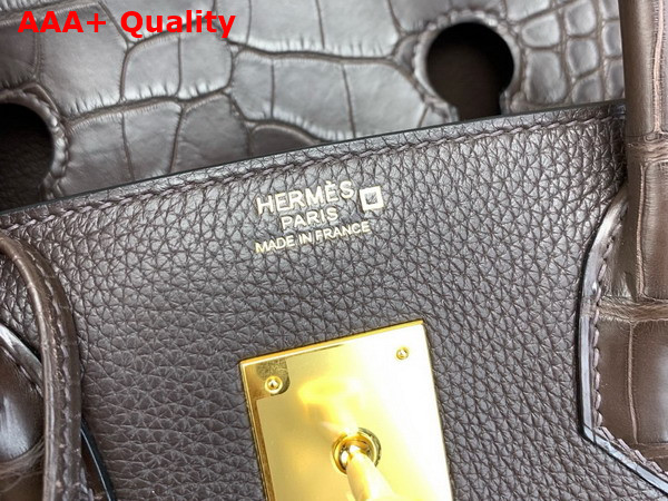 Hermes Birkin 30 Bag in Ebene Togo Leather and Alligator Leather Replica