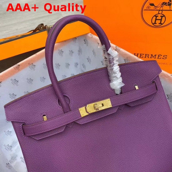 Hermes Birkin 30 Purple Togo Calfskin Replica