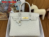 Hermes Birkin 30 in Beige Glaise Ostrich Leather Replica