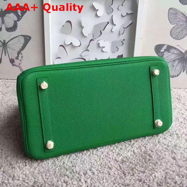 Hermes Birkin 30 in Green Togo Leather with Gold Hardware Replica