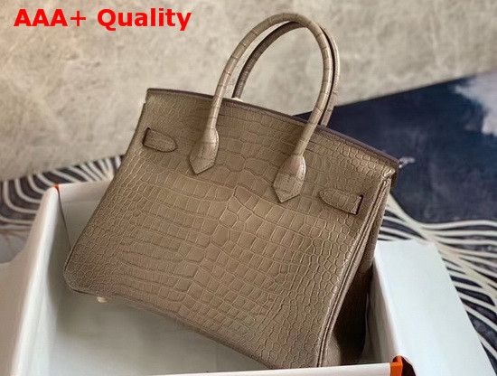 Hermes Birkin 30 in Grey Crocodile Embossed Calfskin Replica