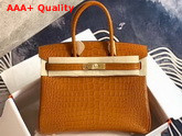 Hermes Birkin 30 in Tan Crocodile Embossed Calfskin Replica