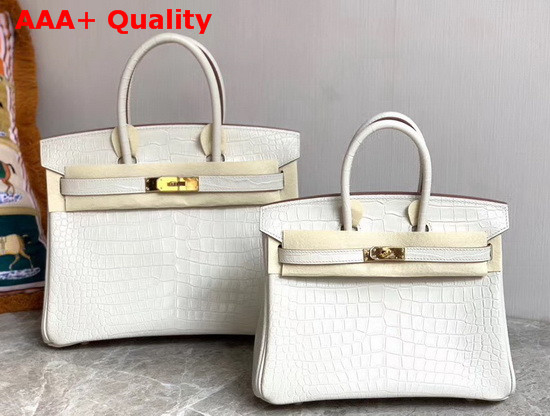 Hermes Birkin 30 in White Crocodile Embossed Calfskin Replica