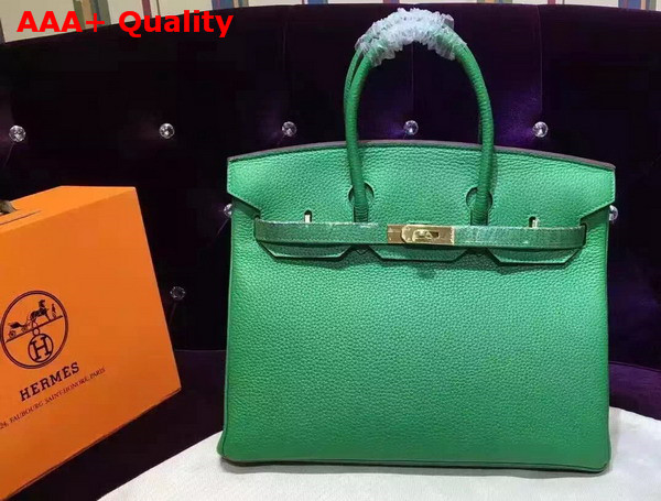 Hermes Birkin 35 Green Togo Leather Gold Hardware Replica