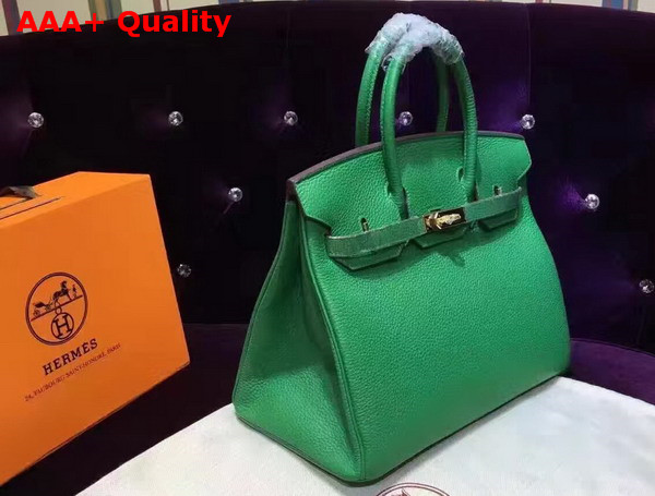 Hermes Birkin 35 Green Togo Leather Gold Hardware Replica
