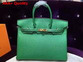 Hermes Birkin 35 Green Togo Leather Gold Hardware Replica