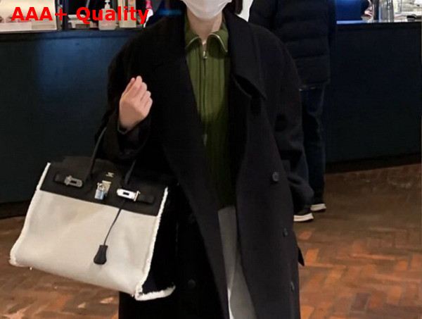 Hermes Birkin Fray Fray Bag 35 in H Canvas and Swift Calfskin Natural and Black Replica