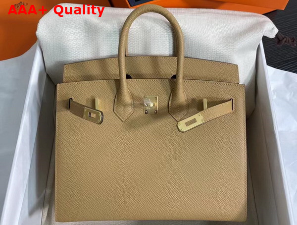 Hermes Birkin Sellier 25 Bag in Beige Epsom Calfskin Replica