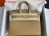 Hermes Birkin Sellier 25 Bag in Beige Epsom Calfskin Replica