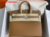 Hermes Birkin Sellier 25 Bag in Tan Epsom Calfskin Replica