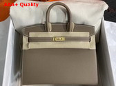 Hermes Birkin Sellier 25 Bag in Taupe Epsom Calfskin Replica