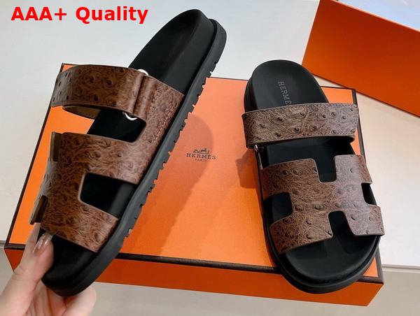 Hermes Chypre Sandal in Chocolate Ostrich Leather Replica