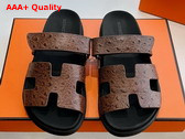 Hermes Chypre Sandal in Chocolate Ostrich Leather Replica