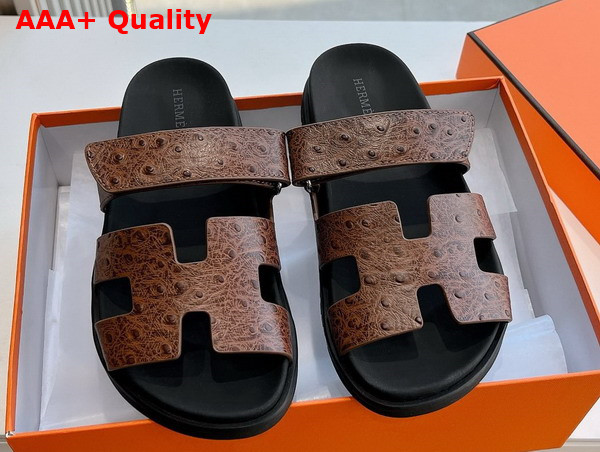 Hermes Chypre Sandal in Chocolate Ostrich Leather Replica