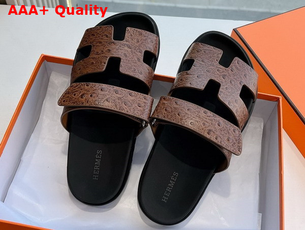 Hermes Chypre Sandal in Chocolate Ostrich Leather Replica