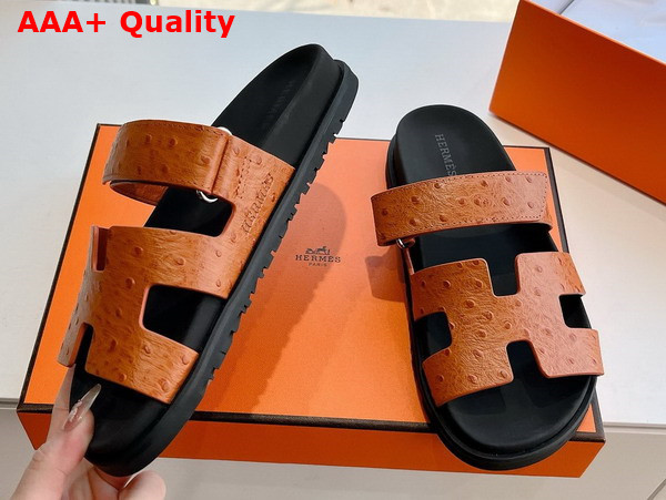 Hermes Chypre Sandal in Naturel Ostrich Leather Replica