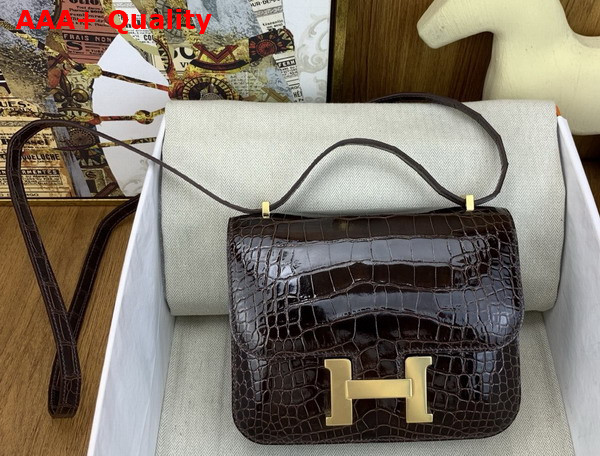 Hermes Constance 18 Bag in Dark Brown Alligator Leather Replica