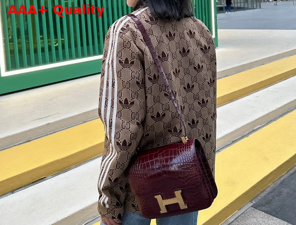 Hermes Constance 18 Bag in Wine Alligator Leather Replica