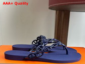 Hermes Island Sandal in Blue Waterproof TPU Replica
