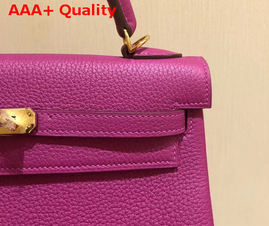 Hermes Kelly 25 in Light PurpleTogo Calfskin Replica