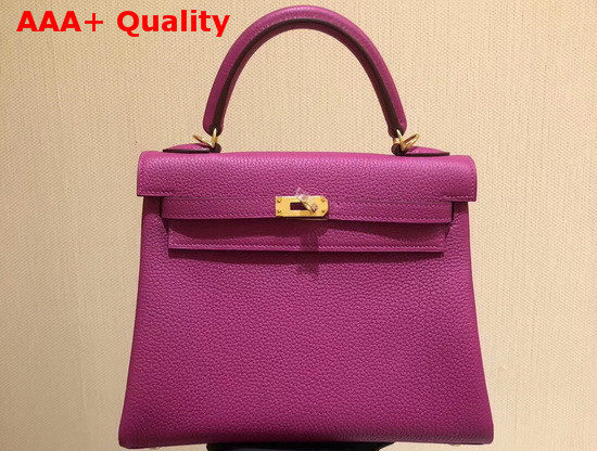 Hermes Kelly 25 in Light PurpleTogo Calfskin Replica