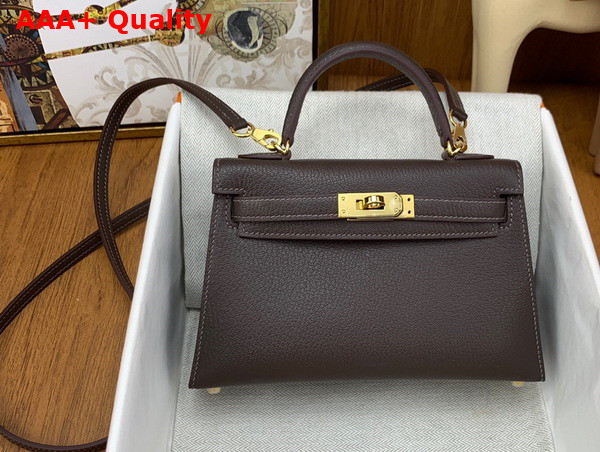 Hermes Mini Kelly II in Bordeaux Goatskin Replica